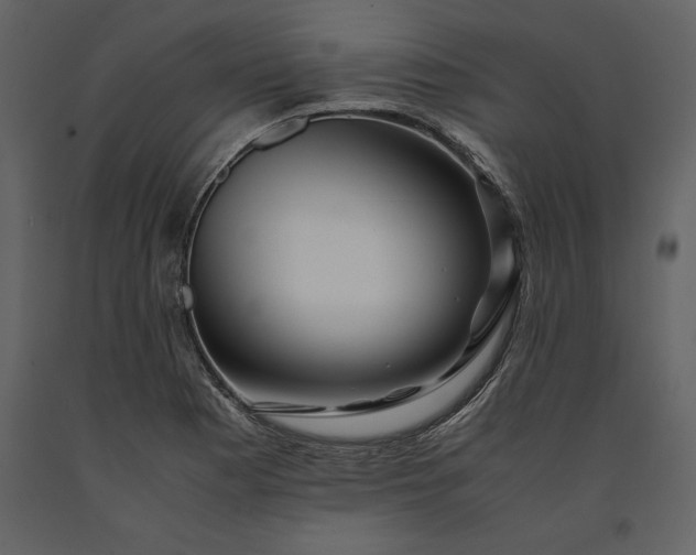 X0000091221177200708231624