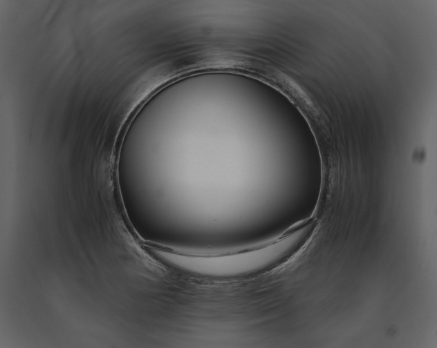 X0000091221178200708231624