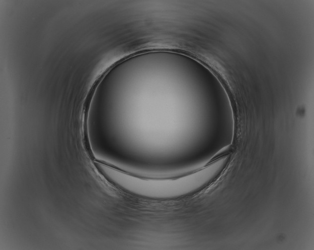 X0000091221179200708231624