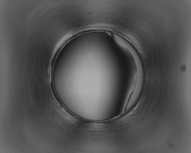 X0000091221180200708231624