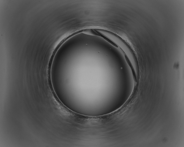 X0000091221181200708231624