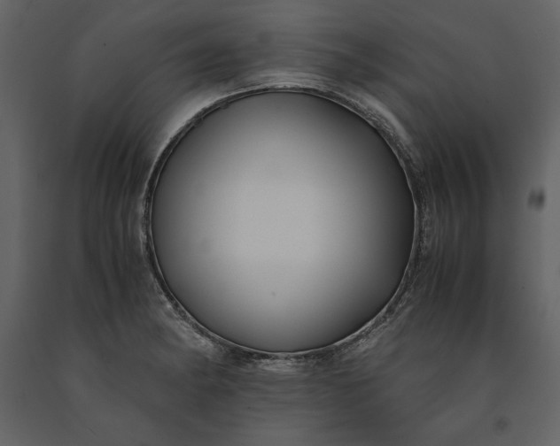 X0000091221182200708231624