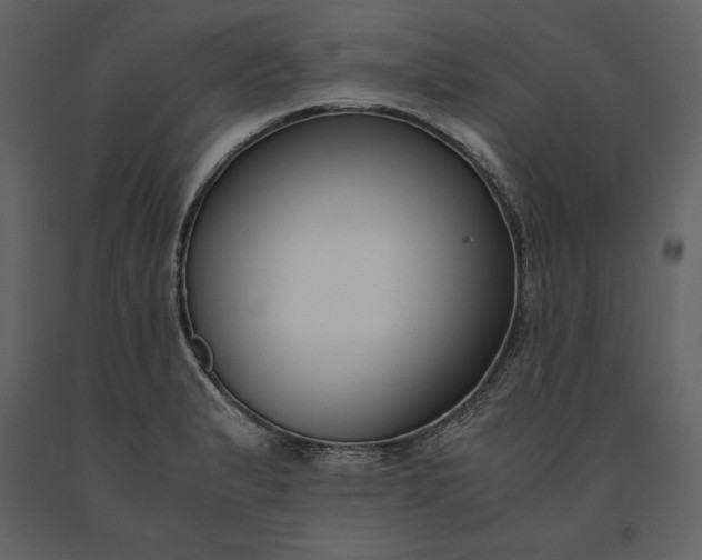 X0000091221183200708231624