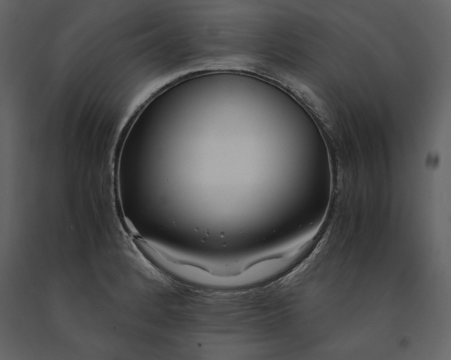 X0000091221184200708231624