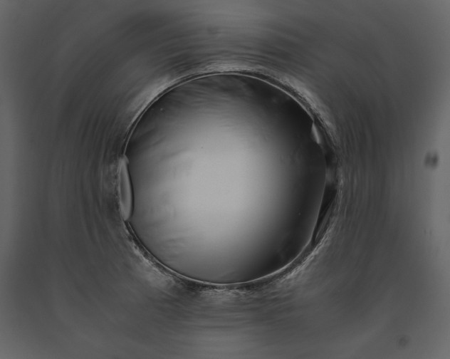 X0000091221185200708231623