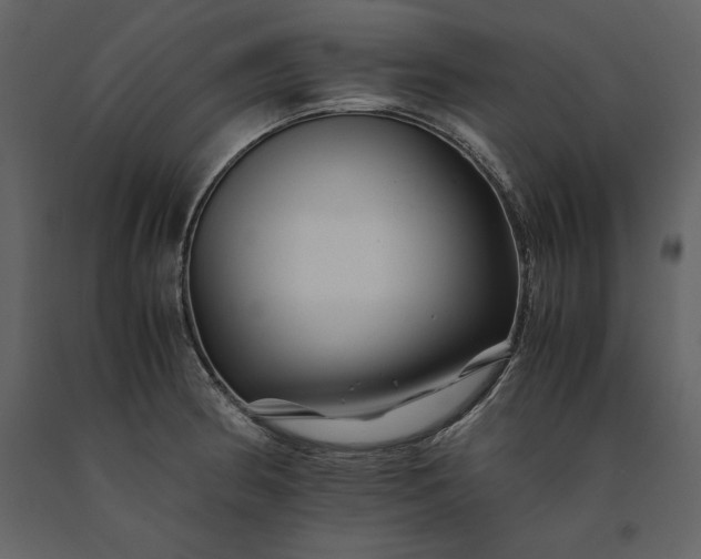 X0000091221186200708231623