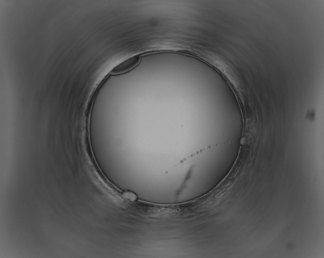 X0000091221187200708231623