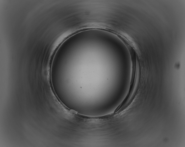 X0000091221188200708231623