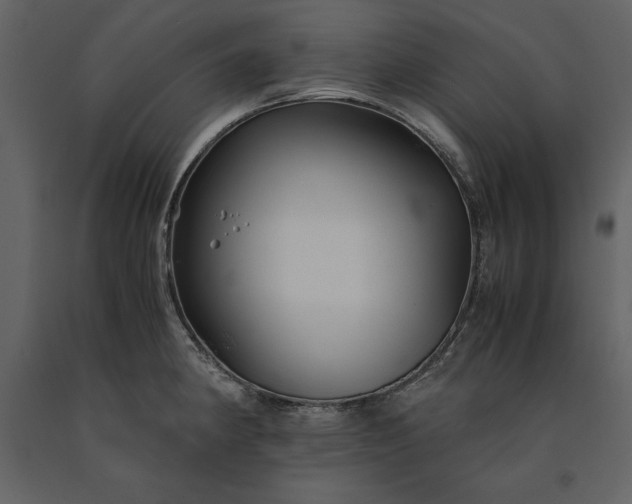 X0000091221190200708231623