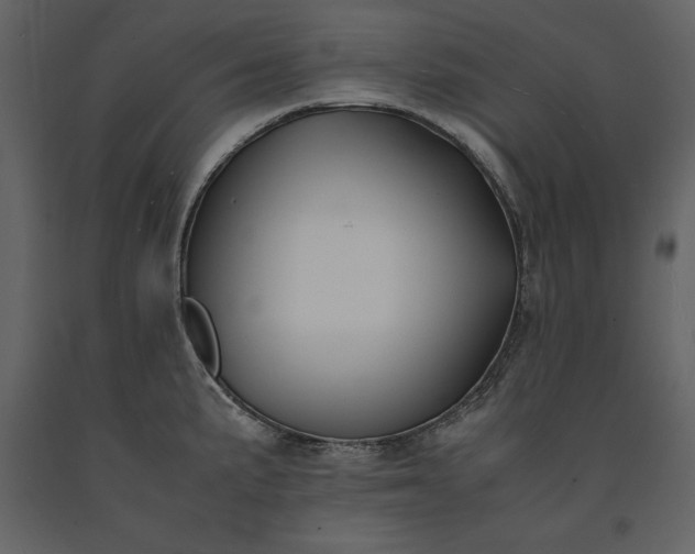 X0000091221191200708231623