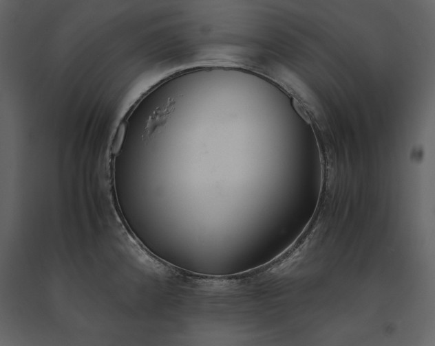 X0000091221192200708231623