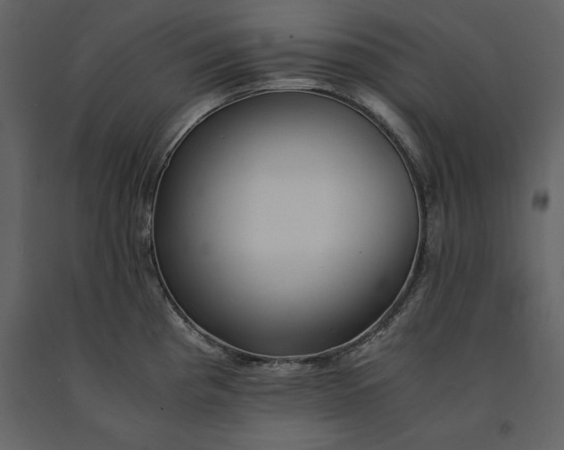 X0000091221193200708231623