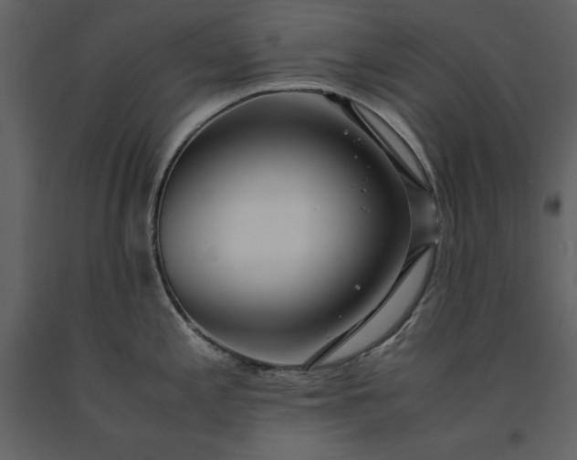 X0000091221197200708231623