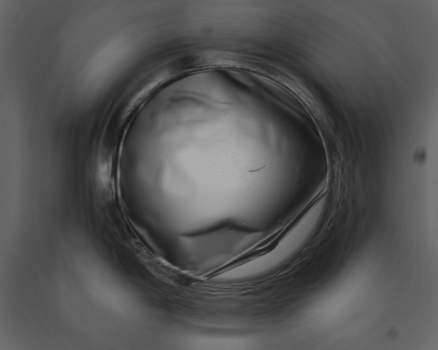 X0000091221198200708231623