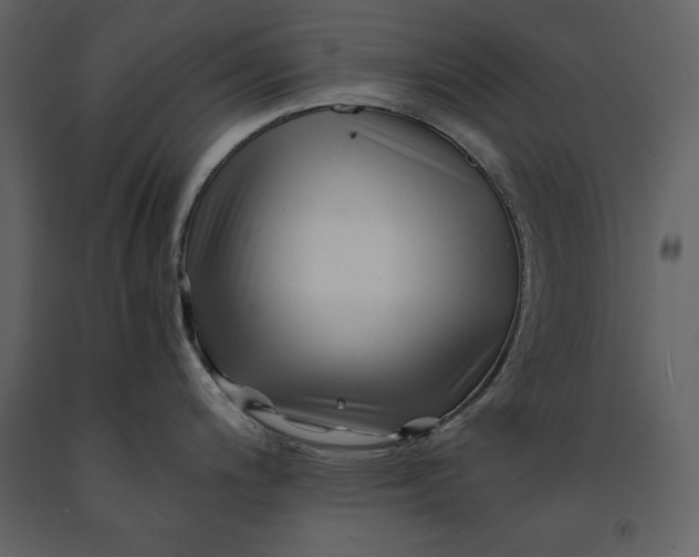 X0000091221200200708231623