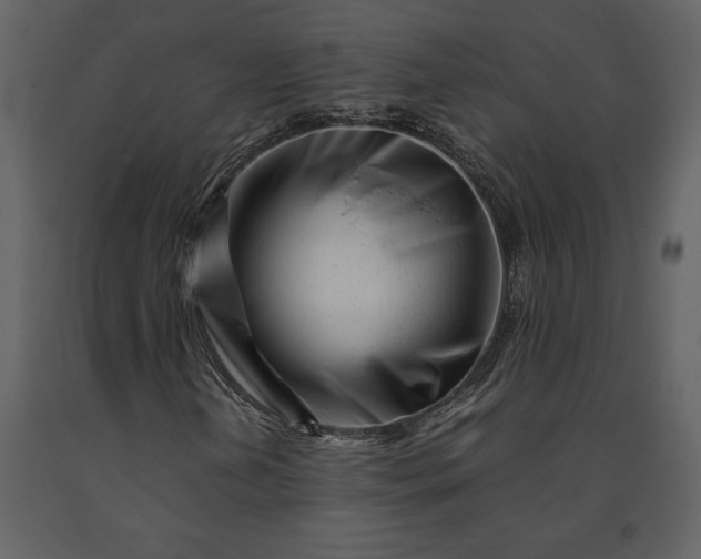 X0000091221202200708231623