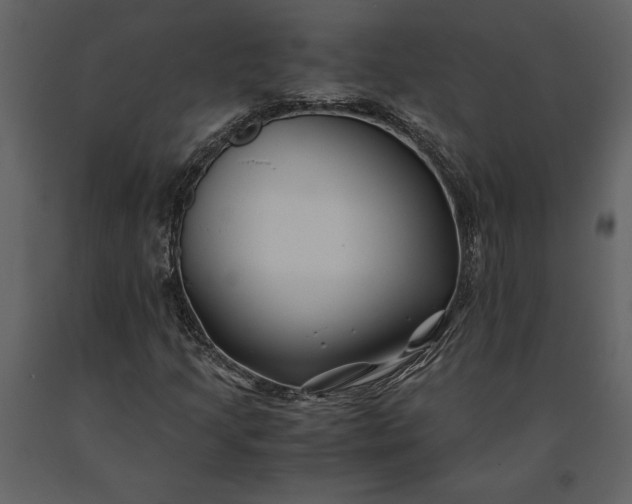 X0000091221205200708231623