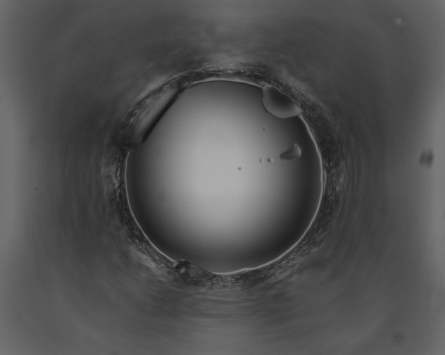 X0000091221206200708231623