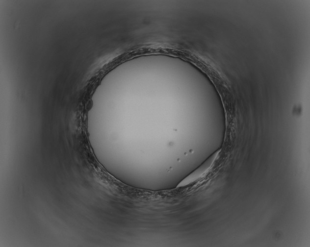 X0000091221207200708231623