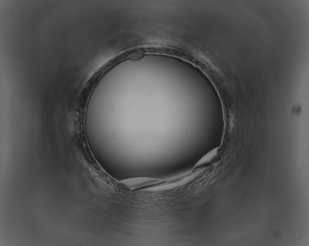 X0000091221208200708231623