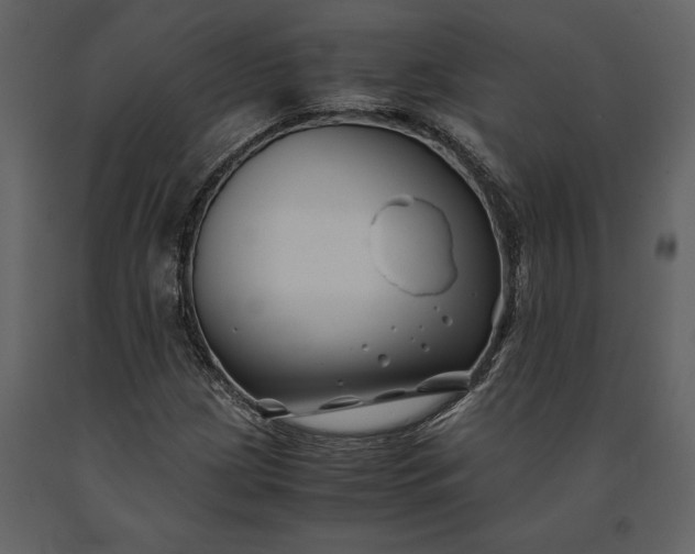 X0000091221209200708231623