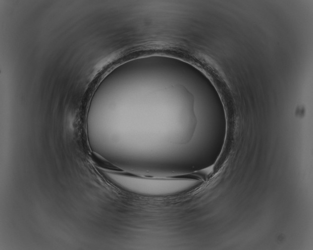 X0000091221210200708231623