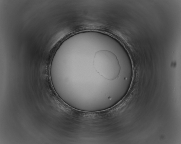 X0000091221211200708231623