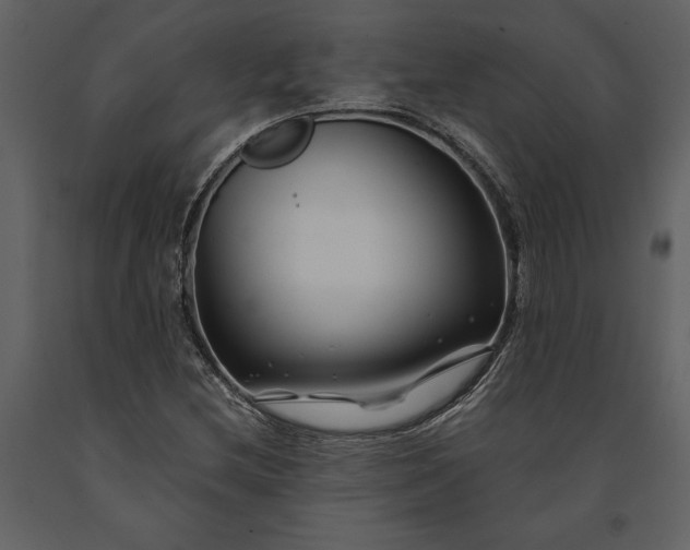 X0000091221212200708231623