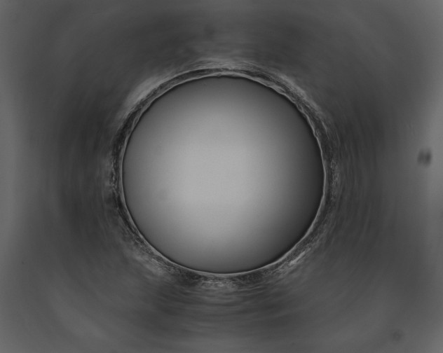 X0000091221215200708231623