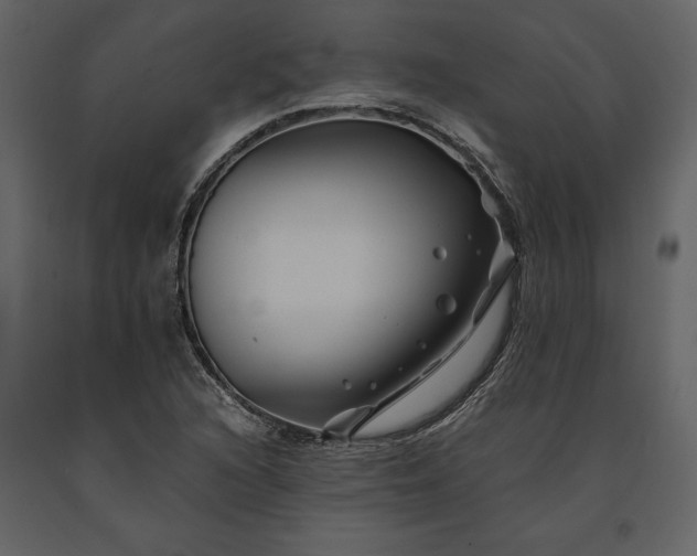 X0000091221216200708231623