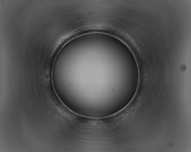 X0000091221218200708231623