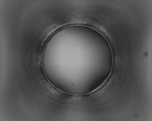 X0000091221220200708231623