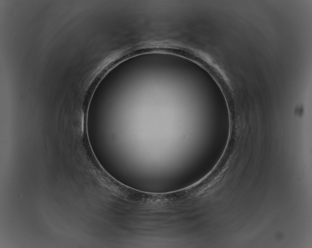 X0000091221221200708231623