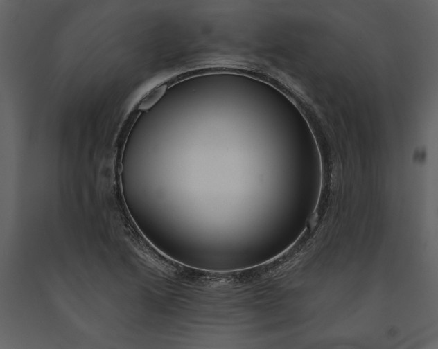 X0000091221222200708231623