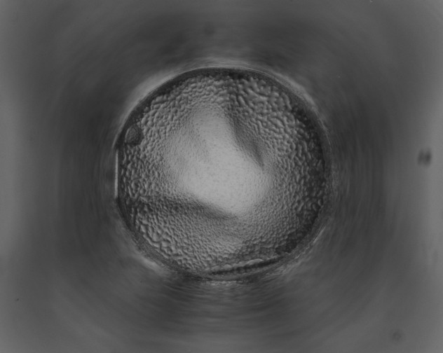 X0000091221223200708231623