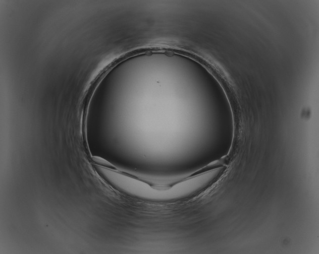 X0000091221224200708231623