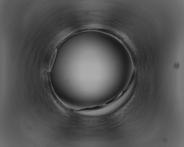 X0000091221225200708231623