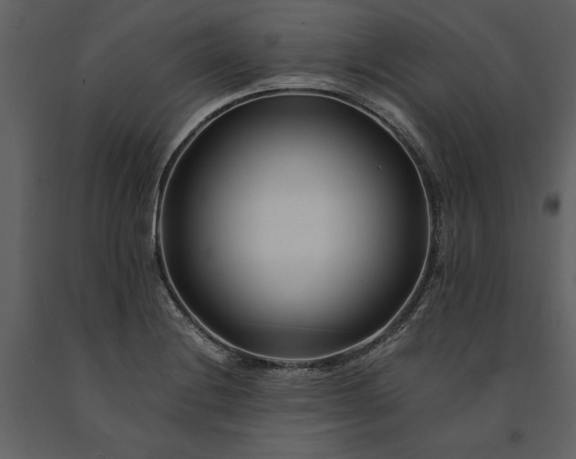 X0000091221228200708231623