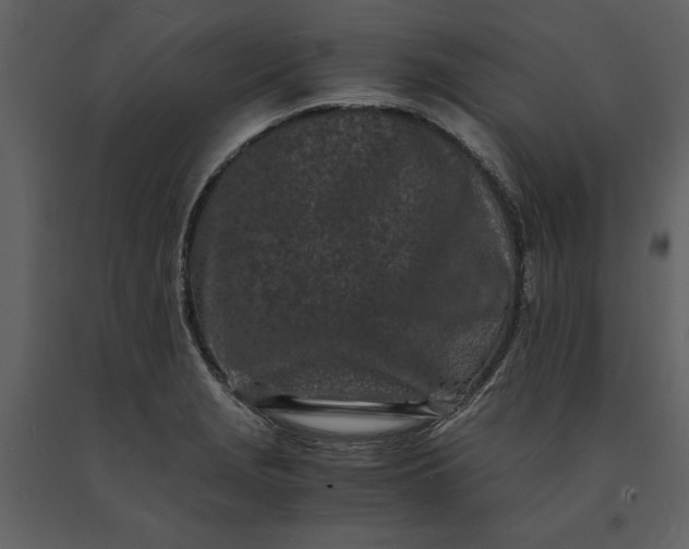 X0000091221229200708231623