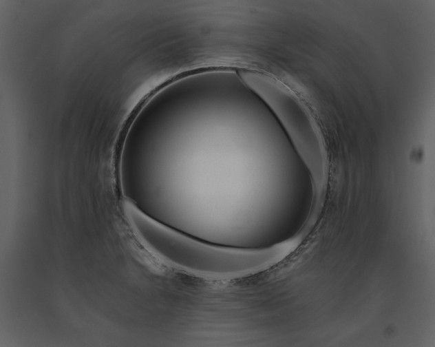 X0000091221230200708231623