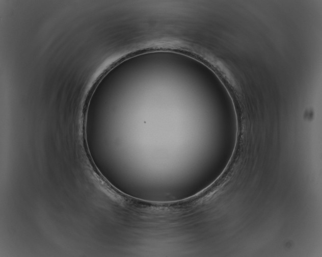 X0000091221232200708231623