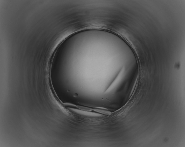 X0000091221235200708231623