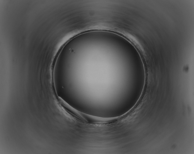 X0000091221238200708231623