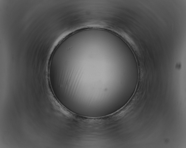 X0000091221240200708231623