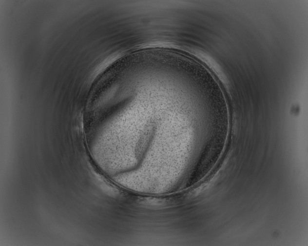 X0000091221241200708231623