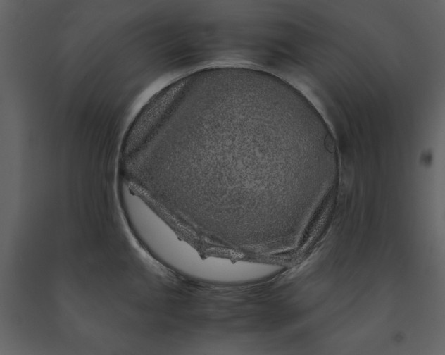 X0000091221245200708231623