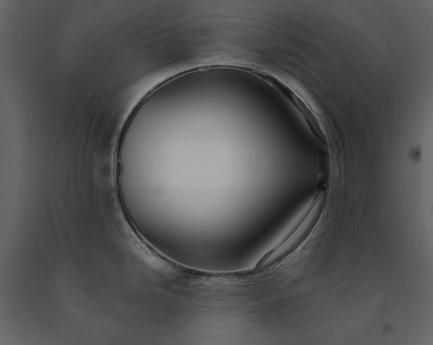 X0000091221246200708231623