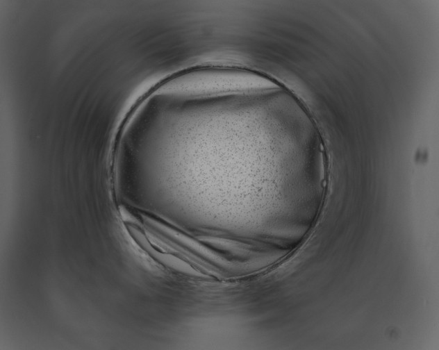 X0000091221248200708231623