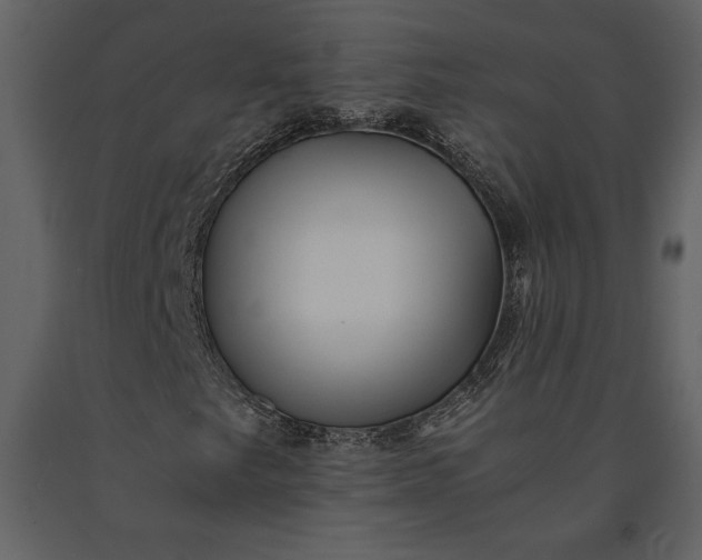 X0000091221249200708231623