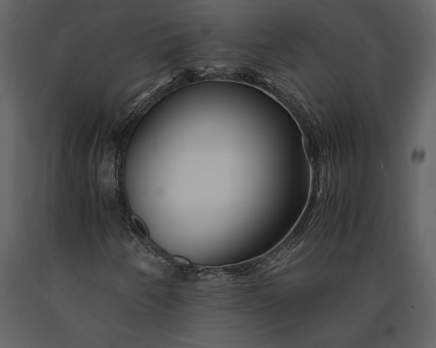 X0000091221250200708231623